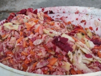 измельченная кормовая свекла