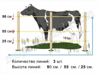 пастух для КРС
