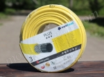 celfast plus