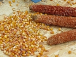 очищенные початки кукурузы