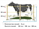 пастух для КРС